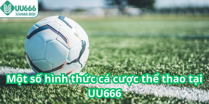 Một số hình thức cá cược thể thao tại UU666